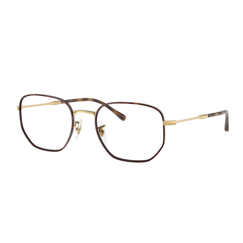 RAY BAN HEXAGONAL RX6496 3177